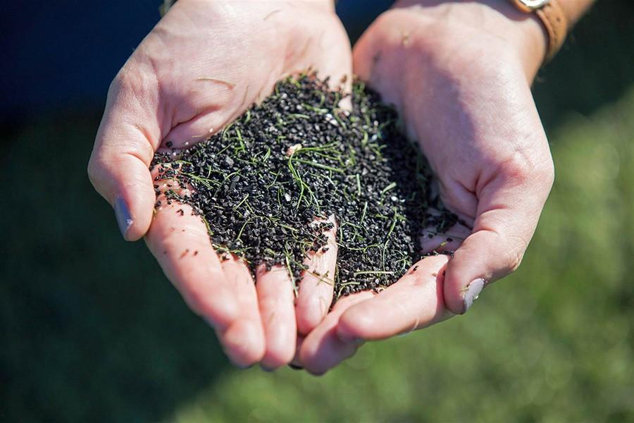 There are people who are still debating the health risks posed by crumb rubber (pictured here), which is used as infill for the Upper Schools artificial turf.