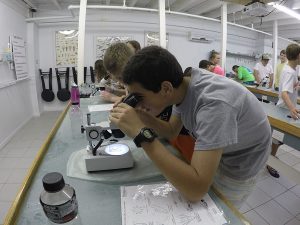 Alex Michelon looks at a specimen under one of the microscopes at the Marine Lab facility.