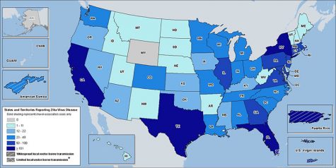 This map shows Zika infections by state as of August 31, 2016. Click to enlarge.