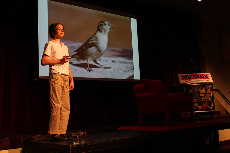 Seventh grader Jakob Kroll delivers his talk about the importance of songbirds to our ecosystem.