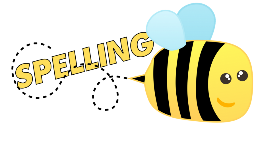 The class spelling bees have concluded, but who will emerge as the middle school champion?