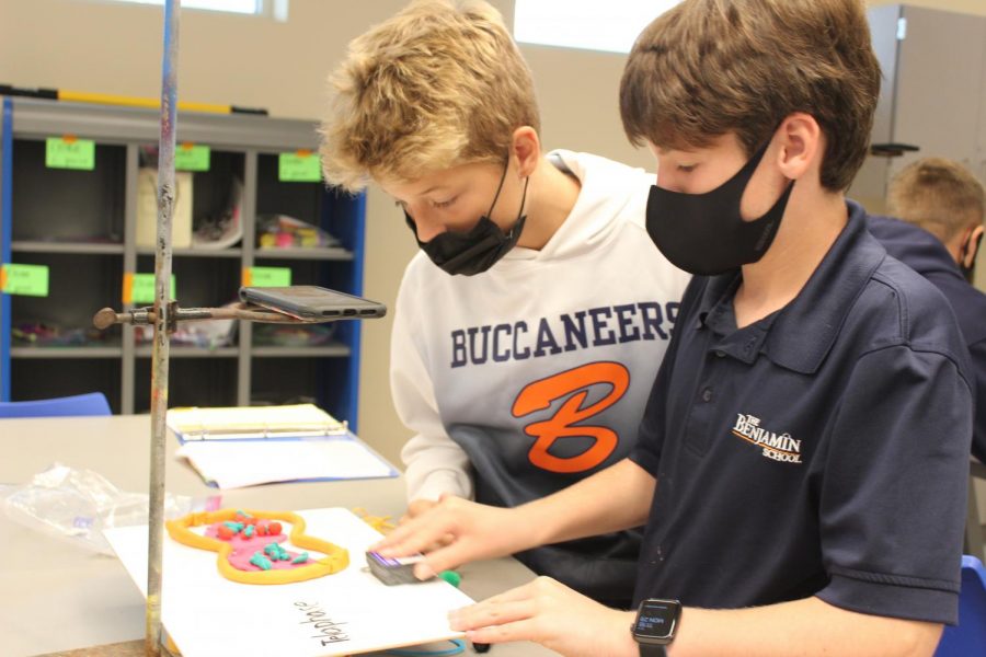 Seventh graders Jackson Hill and Carter Burden erase some text from their whiteboard in order to take the next photo of their mitosis illustration.