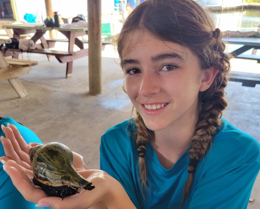 During one of the Marine Lab classes, seventh grader Mar Kallop holds a tulip snail that was found in the water.