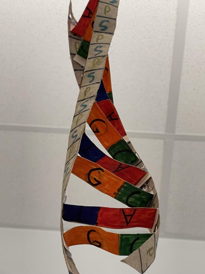 Picture of one of the finished DNA strands.